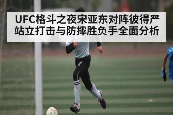 UFC格斗之夜宋亚东对阵彼得严站立打击与防摔胜负手全面分析